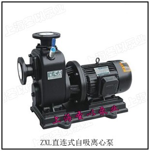 ZXL直连式自吸离心泵